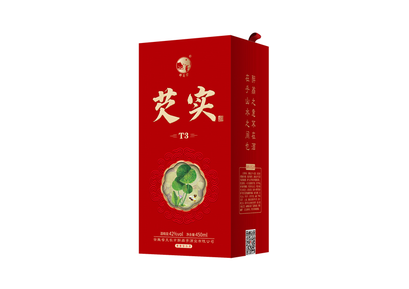 녡ʵT3
